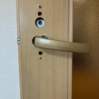 画像255