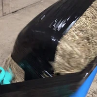 画像271