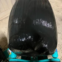 画像274