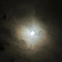 画像278