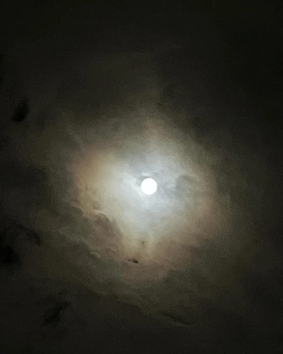 画像278