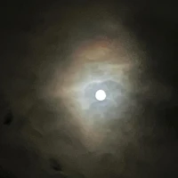 画像279