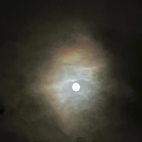 画像280
