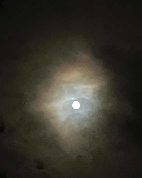 画像280