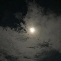 画像281