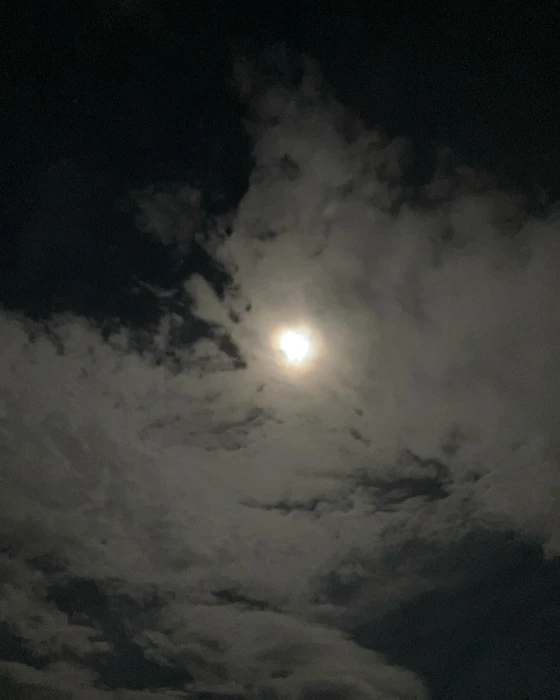 画像281