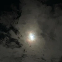 画像282