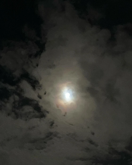 画像282