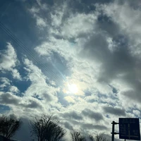 画像284