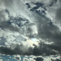 画像285