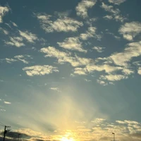 画像286