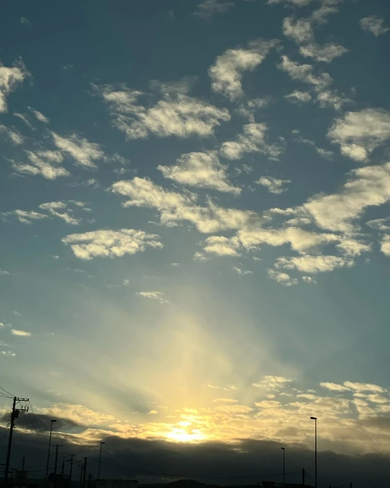 画像286