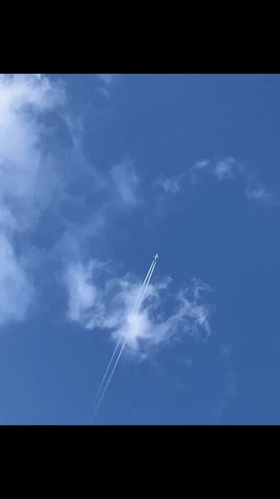 画像311