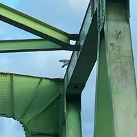 画像315