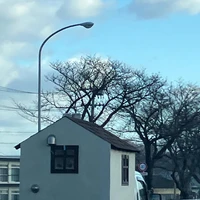 画像316