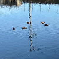 画像337