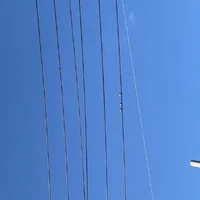 画像339