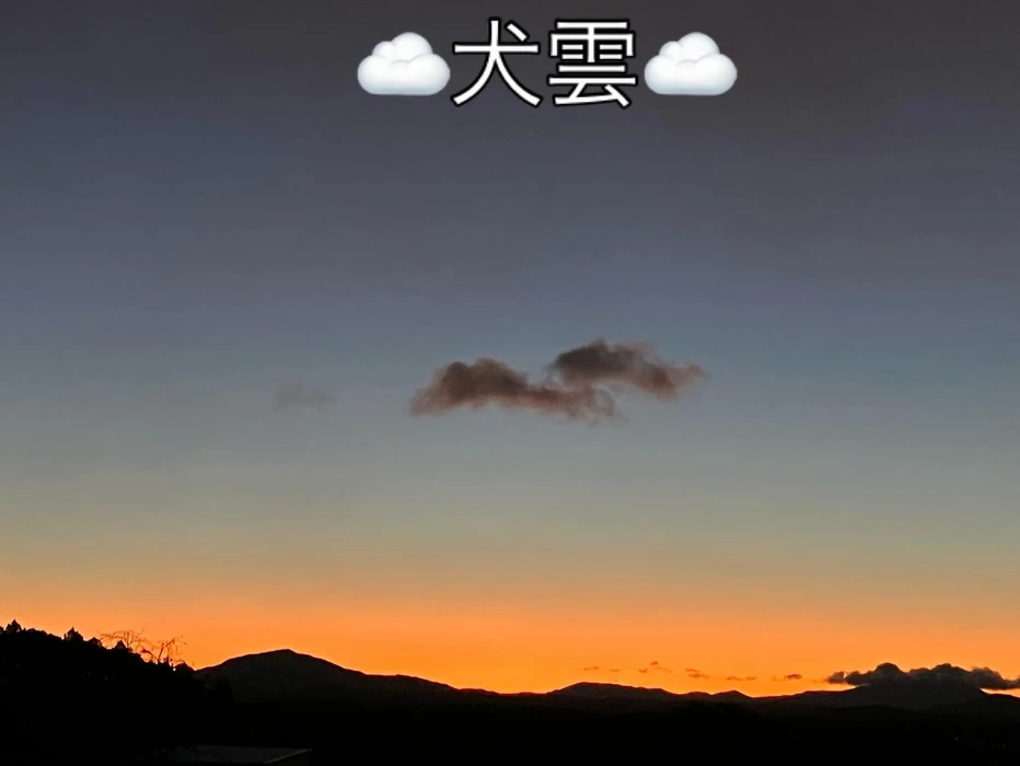 画像343