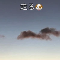 画像344