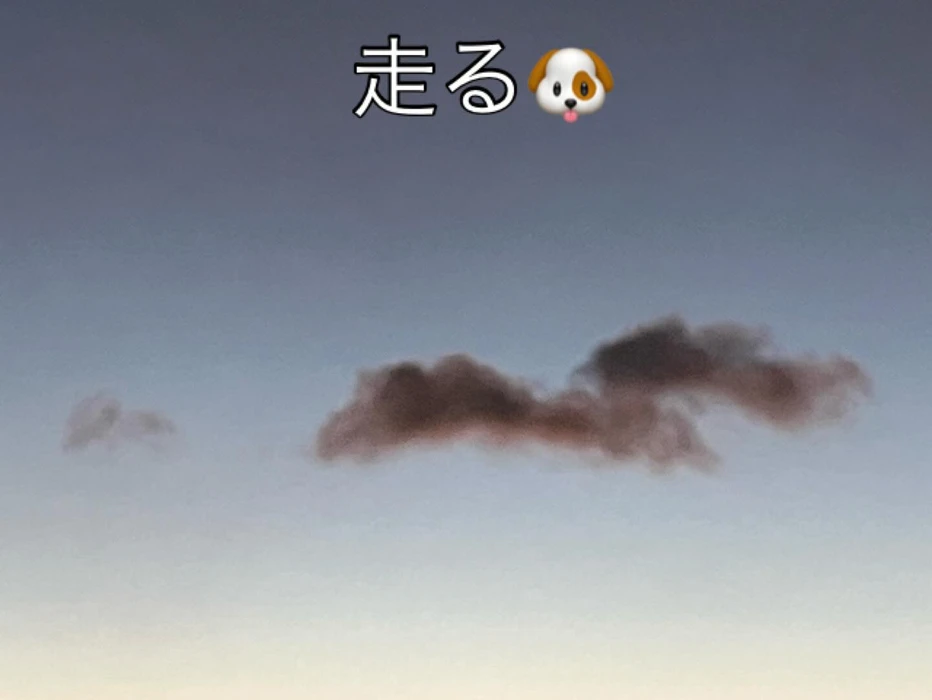 画像344