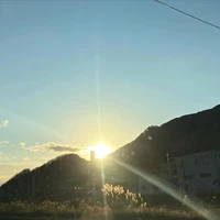 画像355