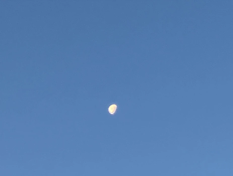 画像359