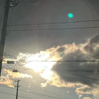 画像366