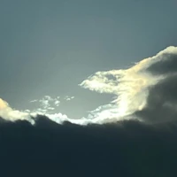 画像367