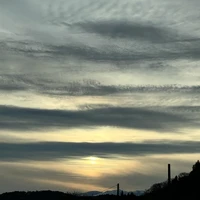 画像375