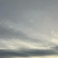 画像394