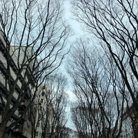 画像397