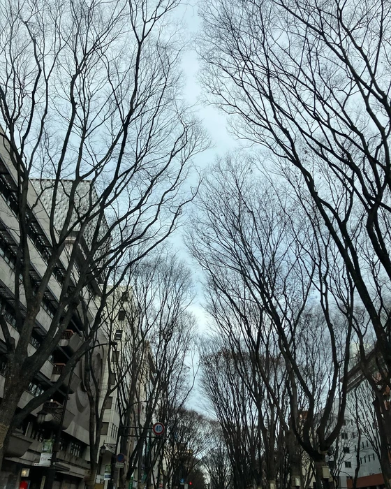 画像397