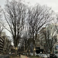 画像398