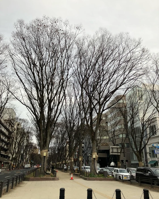 画像398