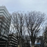 画像399