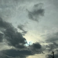 画像403