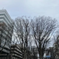 画像408