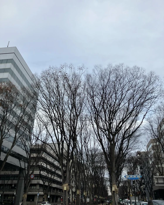 画像408