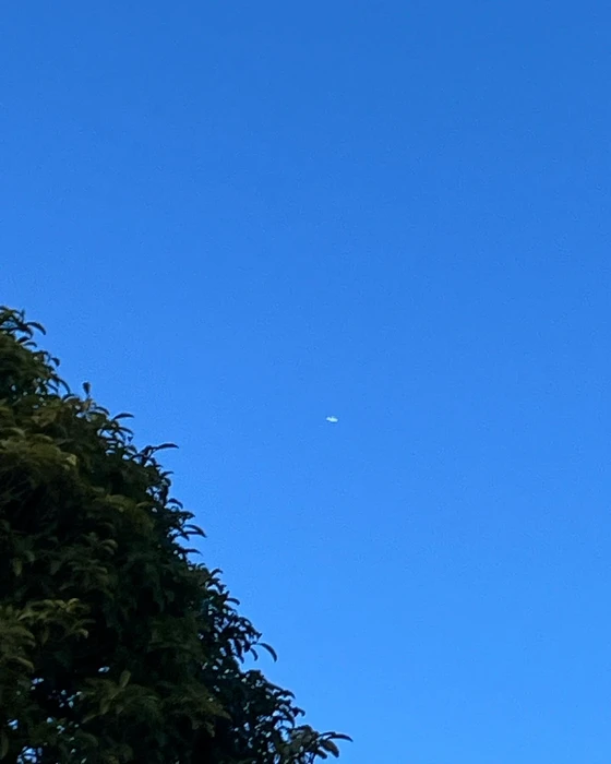 画像412