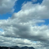 画像417