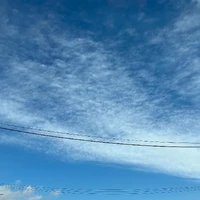 画像421