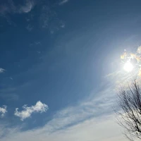 画像422