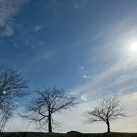 画像425