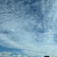 画像426