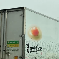 画像442