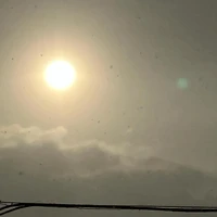 画像452