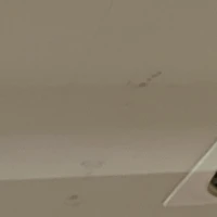 画像466