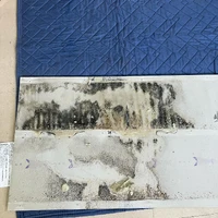画像478