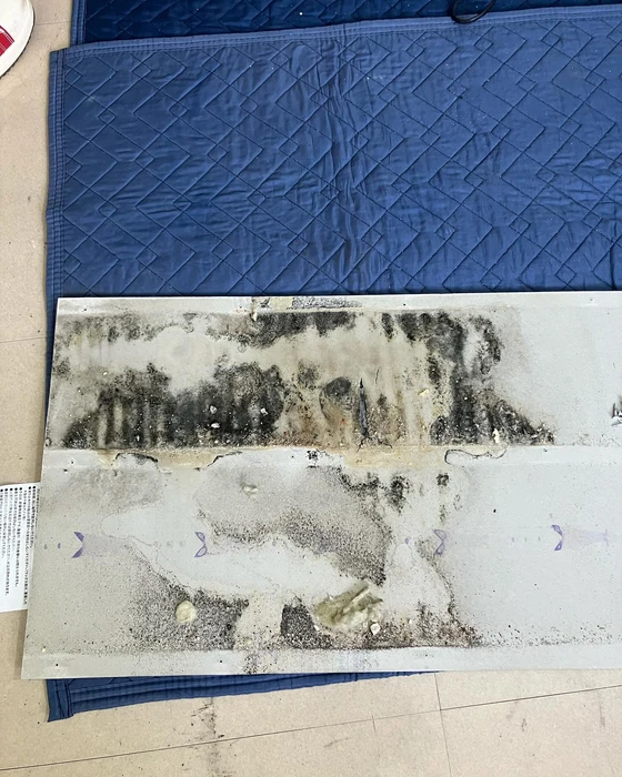 画像478
