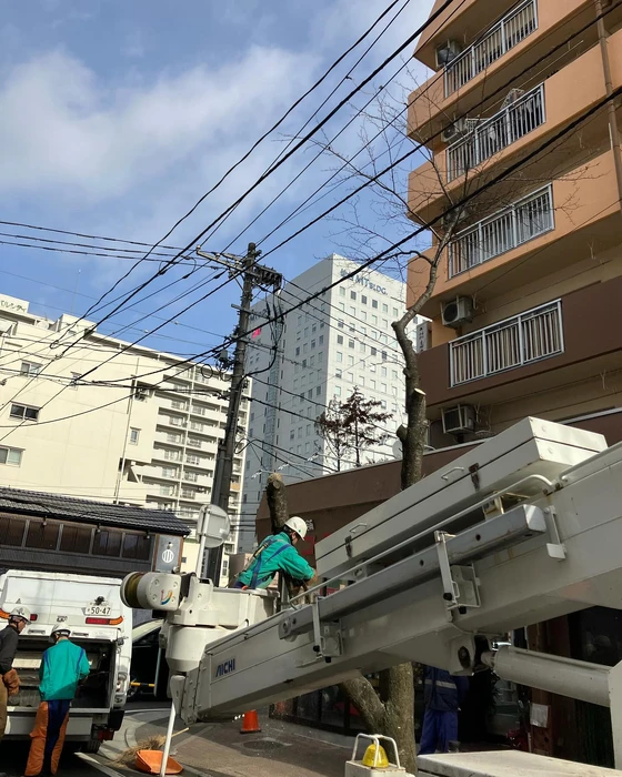 画像482